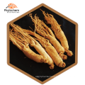 top grade Ginsenoside powder panax wild ginseng root